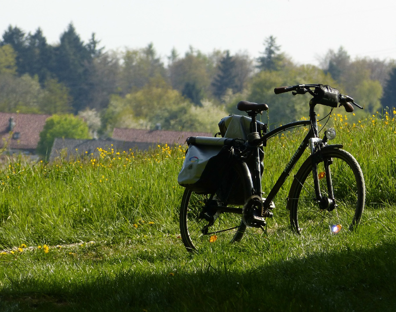 Fahrrad in der Natur